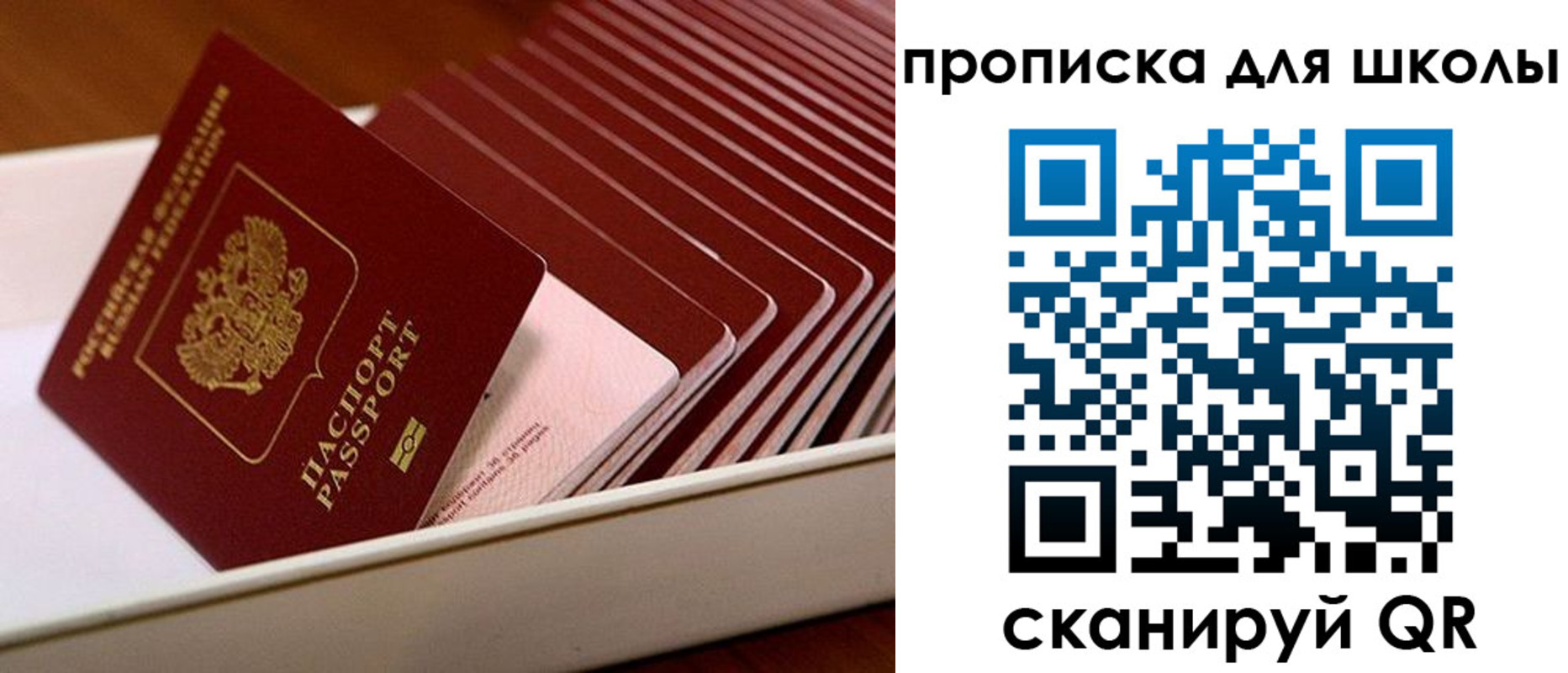 временная регистрация гарантия в Заволжье